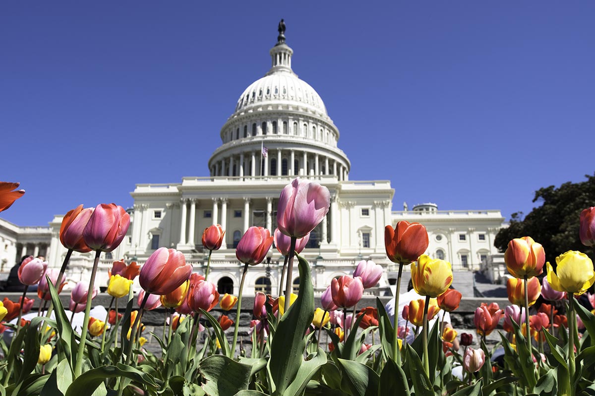 NRECA’s Legislative Conference Returns to InPerson Advocacy on Capitol