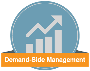 demand side mgmt
