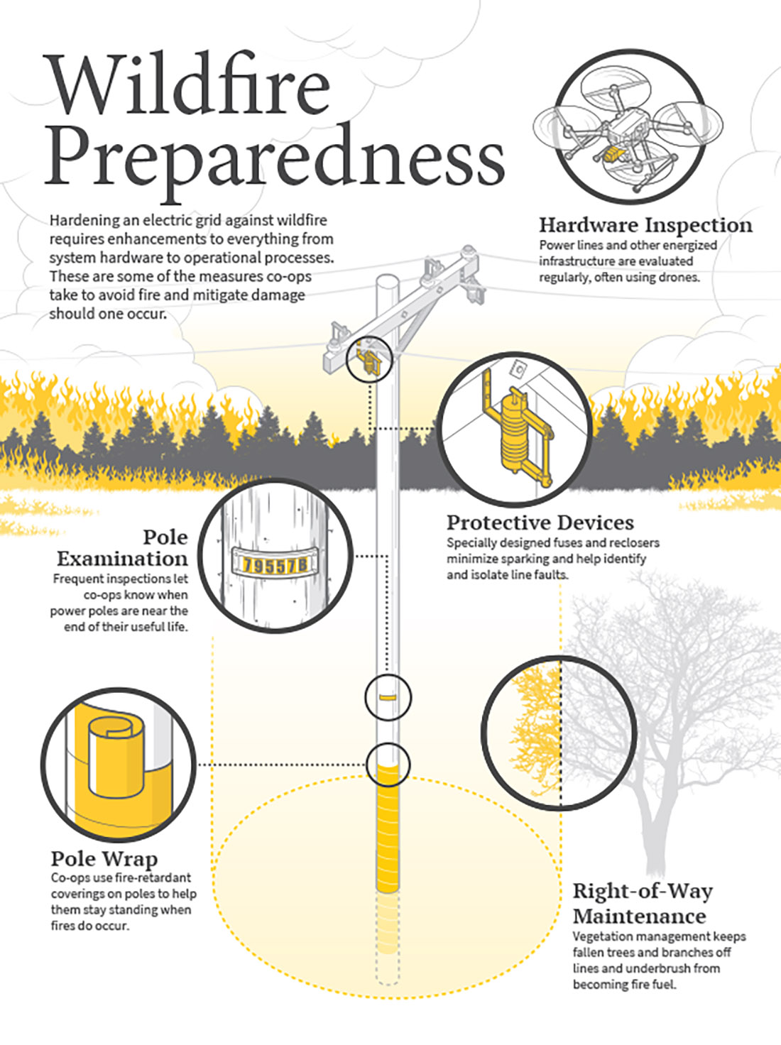 Infographic Wildfire Preparedness